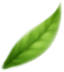 Organic Ingredients 